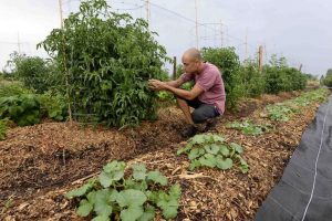 Lire la suite à propos de l’article La permaculture à l’honneur