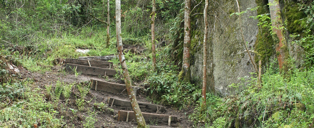 Slide 6