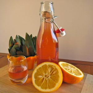 Lire la suite à propos de l’article Vin d’oranges de Zizi
