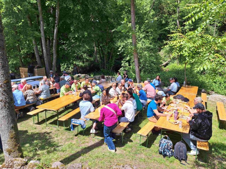 Fête Terroir C5