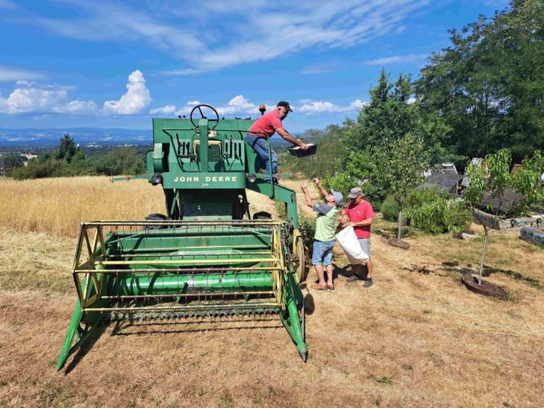 moisson 2