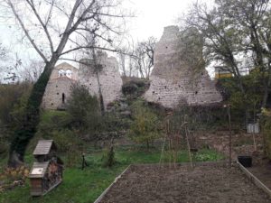 Lire la suite à propos de l’article Corvée de novembre 2025