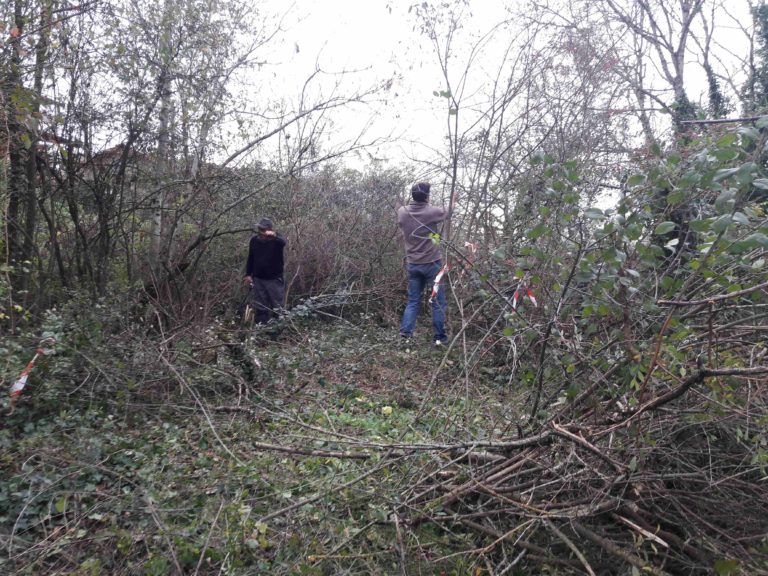 corvée 20251114 debrou