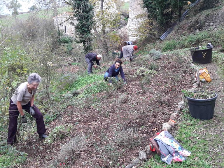 corvée 20251114 jardin 2