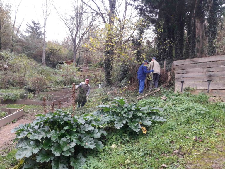 corvée 20251114 jardin 3