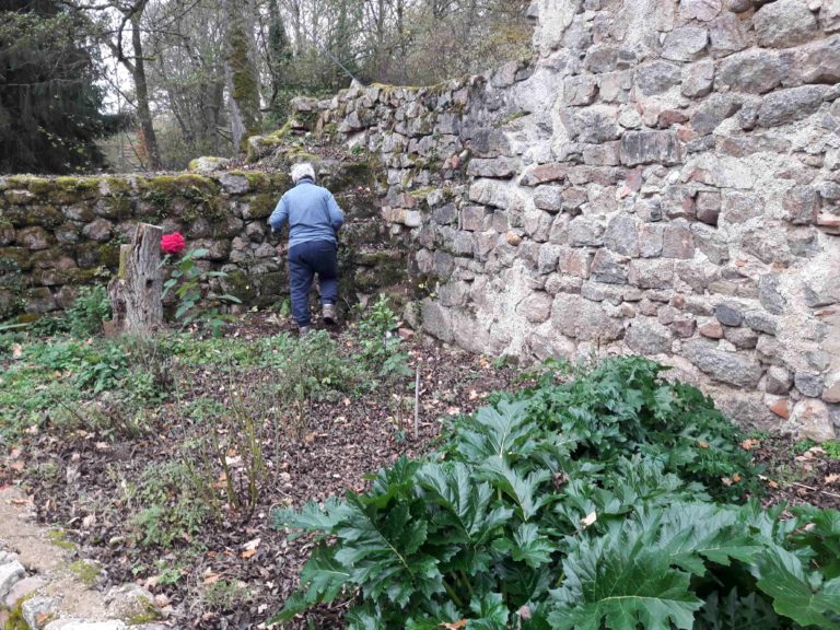 corvée 20251114 jardin 4