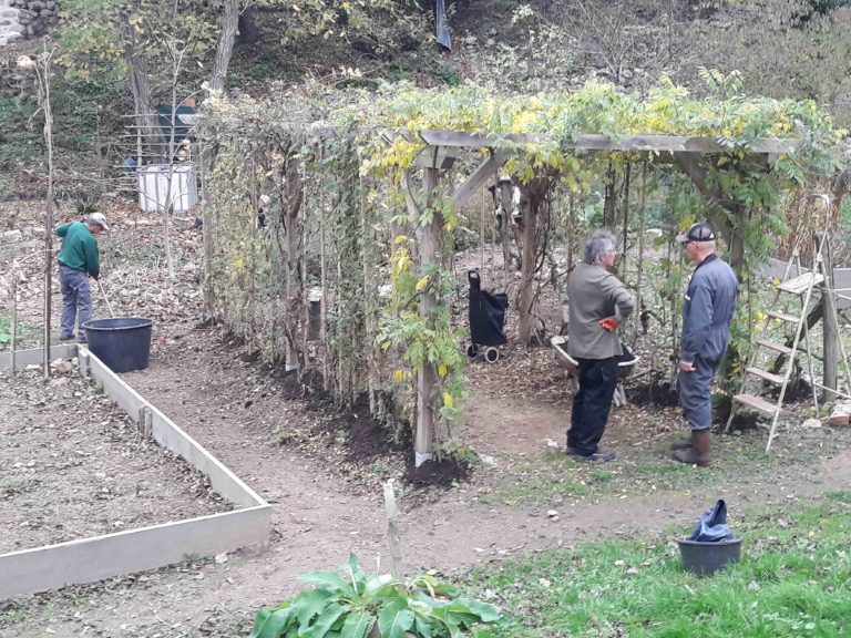corvée 20251114 jardin