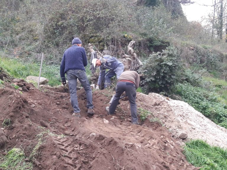 corvée 20251114 pierres 1