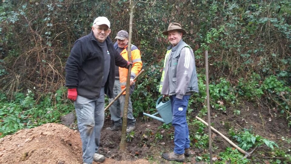 Plantation d&rsquo;arbres à Donzy