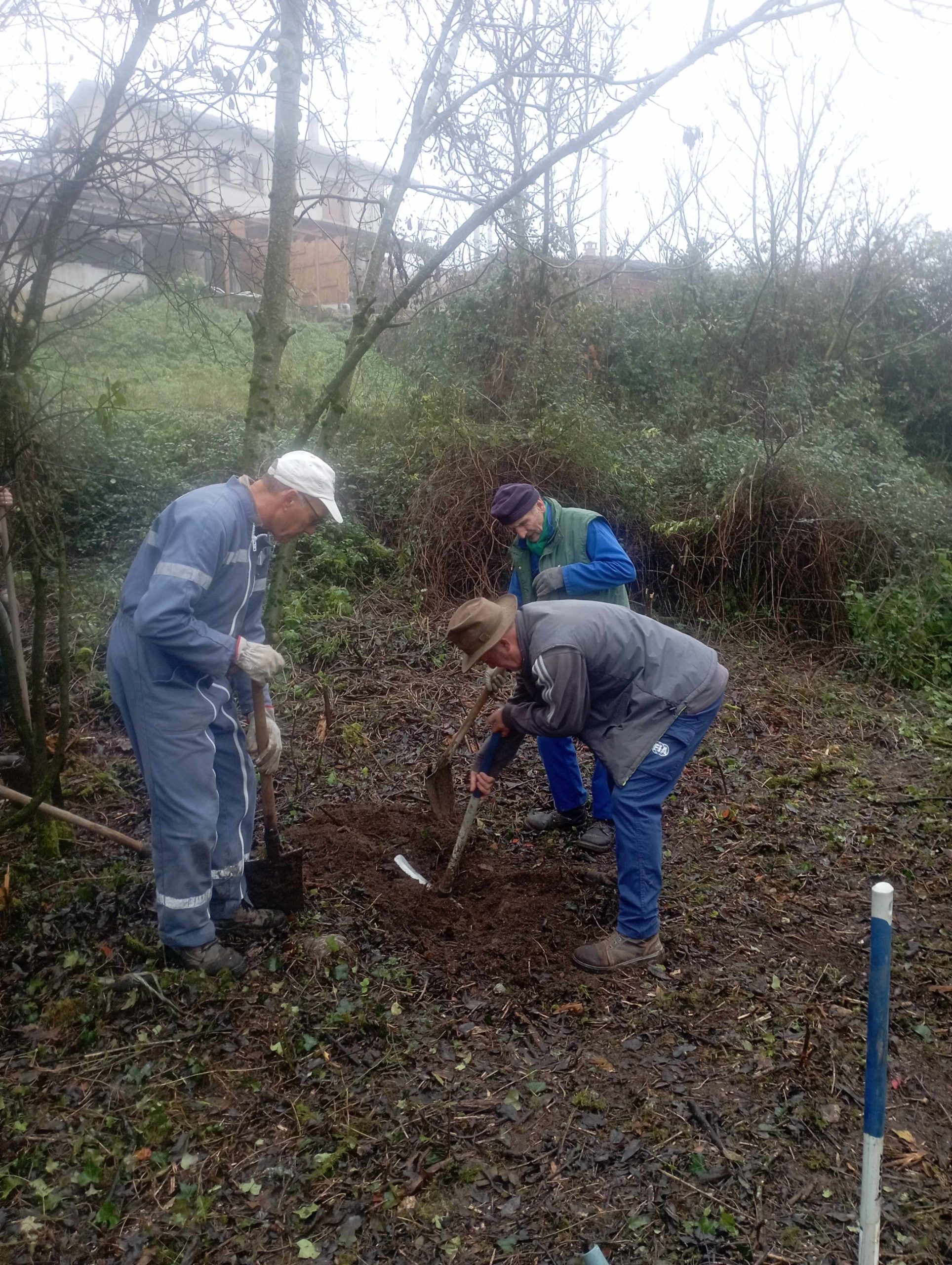 You are currently viewing Corvée plantage d&rsquo;arbres