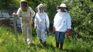 Lire la suite à propos de l’article Corvée au rucher