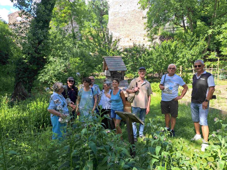 visite 260528 2