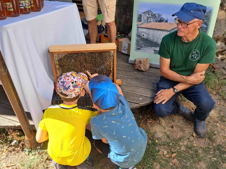 Fête Donzy abeilles